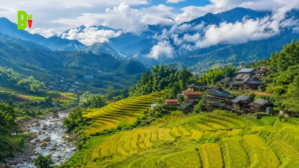 Sapa